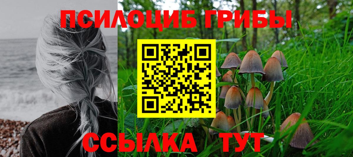 Псилоцибиновые грибы мицелий  Вход с VPN  Пугачёв 